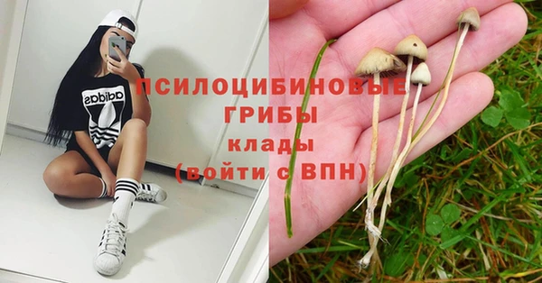 прущие крисы Баксан